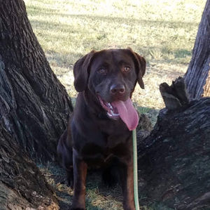 Meet your Posher, Erika